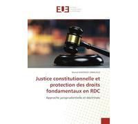 Justice constitutionnelle et protection des droits fondamentaux en RDC: Approche jurisprudentielle et doctrinale