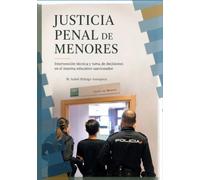 JUSTICIA PENAL DE MENORES: INTERVENCIÓN TÉCNICA Y TOA DE DECISIONES EN EL SISTEMA EDUCATIVO SANCIONADOR