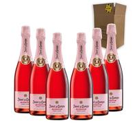 Juvé & Camps Brut Rosé - Para Disfrutar en Celebraciones y con los Tuyos - Pack 6 Botellas 75cl