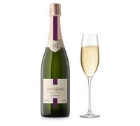 Juvé & Camps Cinta Púrpura - Cava Brut Reserva Xarel.lo Macabeo Parellada- 1 botella 75cl