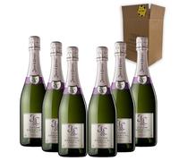 Juvé & Camps Essentia Púrpura - Para Disfrutar en Celebraciones y con los Tuyos - Pack 6 Botellas 75cl
