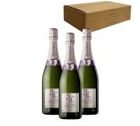 Juvé & Camps Essential Púrpura - Para Disfrutar en Celebraciones y con los Tuyos - Pack 3 Botellas 75cl