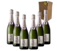 Juvé & Camps Essential Púrpura - Para Disfrutar en Celebraciones y con los Tuyos - Pack 6 Botellas 37.5 cl