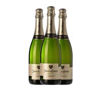 Juvé y Camps Essential Xarel·lo Cava Reserva 75 cl Espumoso blanco (Caja de 3 Botellas de 75 cl)