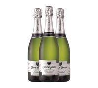 Juvé y Camps Xarel·lo Brut Cava Reserva 75 cl Espumoso blanco (Caja de 3 Botellas de 75 cl)