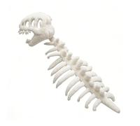 JUYAXIN Gorro transpirable de dinosaurio con divertido diseño de esqueleto, ideal para diversión de disfraces y actividades al aire libre, sombrero de esqueleto de dinosaurio