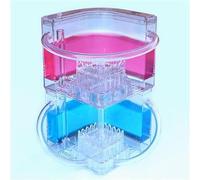 JvFbjLF Ant Castle: observa cómo Las Hormigas Cavan túneles(Blue Pink)