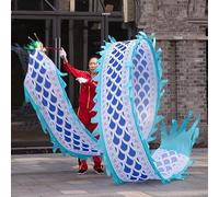 JvFbjLF Danza de dragón Colorida for Adultos, Serpentina de Cinta de dragón Chino Tradicional 3D POI de Seda fluida, agitación y Lanzamiento(F)