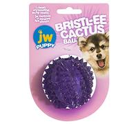 JW - Bristly Cactus Ball - Juguete Dental para aliviar Cachorros - Anillo de dentición para Perros - Caucho Texturizada Suave y Resistente - Masajea Las encías - Tamaño Unico