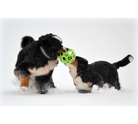 JW Mascota Rodillo De Hol-ee Goma Juguete Perro, Tamaño 20.3cm, Tamaño Grande