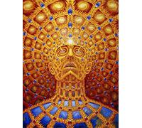 JWJQTLD Impresión En Lienzo Trippy Alex Grey Arte De Pared Abstracto Pintura En Lienzo Carteles E Imágenes Impresas Decoración De La Sala De Estar Decoración del Hogar, Regalo De Vaca