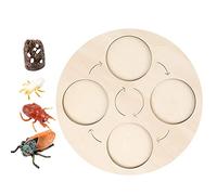 JWQFBC Juego de Madera para Aprender de Vida, Tablero de Aprendizaje del Ciclo de Crecimiento, Juguete Educativo, Bloque Didáctico Preescolar, Cigarra