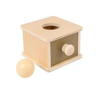 JWQFBC Juguete Educativo con Pelota, Cajón Y Caja de Permanencia de Objetos para Niños Y Niñas, Ideal para El Entrenamiento en Resolución de Problemas.