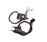 JWRMZX Generador de Gasolina for ET950, ET650, IE45F y TG950 con Bobina de Encendido Magneto Compatible con generadores Tiger de 450 W, 650 W, 800 W, 950 W y 1000 W.(2pcs Kit)