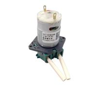 JXHOENGPO Bomba De Tinta Microperistáltica DTF DT 24V DC 5W, Compatible with Allwin, Impresora De Inyección De Tinta De Gran Formato(1pcs)