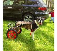 JXIPANUL Silla de Ruedas para Perros Ajustable con 2 Ruedas para la rehabilitación de Las Patas traseras, Que Ayuda a Las Mascotas Grandes con extremidades traseras paralizadas a recuperar