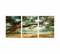 JXLEULIN 3 Pack Luminiscencia Pintar por Numeros Adultos Árbol, KIT Manualidades Adultos Paisaje con Brillante Pintura Acrilica y Pinceles Lienzos para Pintar 45 x 35cm*3 Home Decoration JLYH-0753