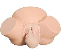 JYHUHGRG Modelo anatómico de PVC del Sistema Reproductor Femenino, Cuerpo Humano, Modelo de útero y Ovario, Material de Estudio médico, Modelo para Clases Escolares.