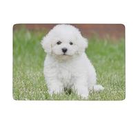 JZemdybill Alfombra Bichon Frise para perro, alfombra suave para sala de estar, dormitorio (100 x 150 cm)