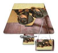 JZemdybill Alfombrilla de picnic, bonita manta cuadrada de picnic con diseño de perro salchicha, alfombras para exteriores, 148 cm x 148 cm