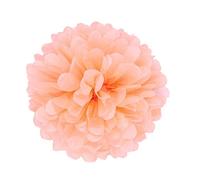 JZK 10 x Coral Pompones papel 25 cm pom poms ponpon pompom bolas flores para decoración boda cumpleaños fiesta bautismos, pompón decorativo de fiesta, decoración de dormitorio para niñas