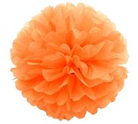 JZK 10 x Naranja claro Pompones papel 25 cm pom poms ponpon pompom para decoración boda cumpleaños fiesta navidad víspera, pompón decorativo de fiesta, decoración de dormitorio para niñas