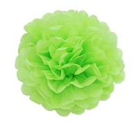 JZK 10 x Verde claro Pompones papel 25 cm pom poms ponpon pompom para decoración boda cumpleaños fiesta navidad víspera, pompón decorativo de fiesta, decoración de dormitorio para niñas