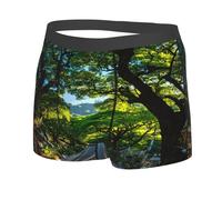 JZQZH Calzoncillos tipo bóxer para hombre, suaves, cómodos, transpirables, elásticos, con exquisito diseño de impresión Street In The Early Morning, Negro, L