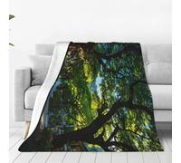 JZQZH Street in The Early Morning - Manta de sofá con patrón para invierno, calidez y comodidad, 40 x 30 pulgadas, plegable, ligera para el hogar