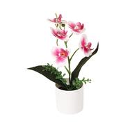 JZYANXBX Artificial Flower Phalaenopsis Orchid Indoor Simulation Plant with Retro Bonsai Accessories - Elegant Tabletop Decor for Living Room, Office Desk, Wedding(A)