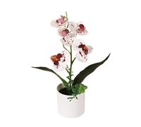 JZYANXBX Artificial Flower Phalaenopsis Orchid Indoor Simulation Plant with Retro Bonsai Accessories - Elegant Tabletop Decor for Living Room, Office Desk, Wedding(B)