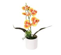 JZYANXBX Artificial Flower Phalaenopsis Orchid Indoor Simulation Plant with Retro Bonsai Accessories - Elegant Tabletop Decor for Living Room, Office Desk, Wedding(D)