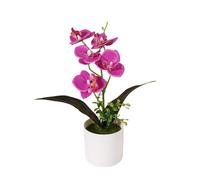 JZYANXBX Artificial Flower Phalaenopsis Orchid Indoor Simulation Plant with Retro Bonsai Accessories - Elegant Tabletop Decor for Living Room, Office Desk, Wedding(E)