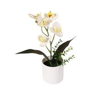 JZYANXBX Artificial Flower Phalaenopsis Orchid Indoor Simulation Plant with Retro Bonsai Accessories - Elegant Tabletop Decor for Living Room, Office Desk, Wedding(C)