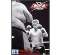 K-1 World Gp 2004 in Saitama [Alemania] [DVD]
