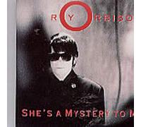 K.D. Lang - She's A Mystery To Me