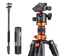 K&F CONCEPT Trípode Cámara Carbono, 160cm Trípode de Viaje Ligero con Monopié Compacto con Rótula de Bola 360°y Placa de Liberación Compatible con Cámara DSLR D254C1+BH-28L