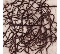 K. Leimer - Arrhythmian [VINYL] [Vinilo]