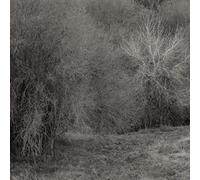 K. Leimer Atrophies For Piano (Vinyl)