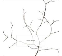 K. Leimer - Useless Epitomes