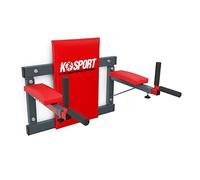 K-Sport: Estación de inmersión para montaje en pared, con barra de inmersión de hasta 300 kg, barra para realizar dips y ejercicios abdominales, incluye libro electrónico (idioma español no