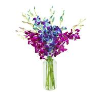 KaBloom Midnight in the Tropics - Ramo de orquídeas azules y moradas de Tailandia con jarrón