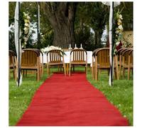KaBuea Alfombra roja de Primera Calidad, Alfombra de Pasillo Estilo Hollywood for Bodas, premios Oscar, Pasarela de Moda, graduación, Ceremonia de premios y Fiesta(3'11" x 98'5" (Rectangular))
