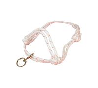 KACCDE Cabestro de vaca para ganado, cuerda líder que muestra razas pequeñas, animales, herramienta ajustable para entrenamiento de manejo de correas de vaca fuertes