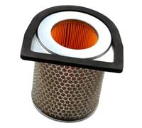 Kacepar Filtro de aire para motocicleta, limpiador de filtro de aire para motocicleta, filtro de admisión compatible con Honda CBX250 CBF250 2004-2006