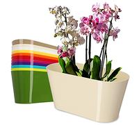 KADAX Flowerpot hecho de plástico, 27 x 13 cm, maceta ancha, maceta ovalada, alfombra de flores para orquídeas, bellis, madrastra, draze (crudo)