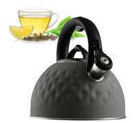 KADAX Hervidor de Agua de Acero Inoxidable, Caldera Esmaltada con Asa Gris 2,5 L