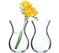 KADAX - Jarrón de cristal, 18 cm, 8 cm de diámetro, transparente, jarrón decorativo para salón