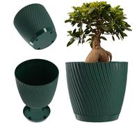 KADAX Maceta con plato, maceta en forma de onda tridimensional, maceta de plástico, maceta decorativa para flores, cactus y hierbas (15 cm, verde)