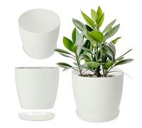 KADAX Maceta con Plato, Maceta Redonda de plástico, Maceta Mate para Cactus, helechos, Maceta Brillante para balcón, apartamento y terraza (12 cm, Blanco)